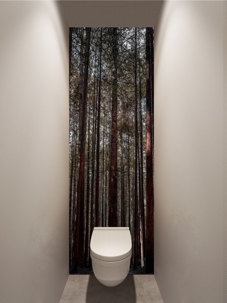 Интерьер туалетной комнаты