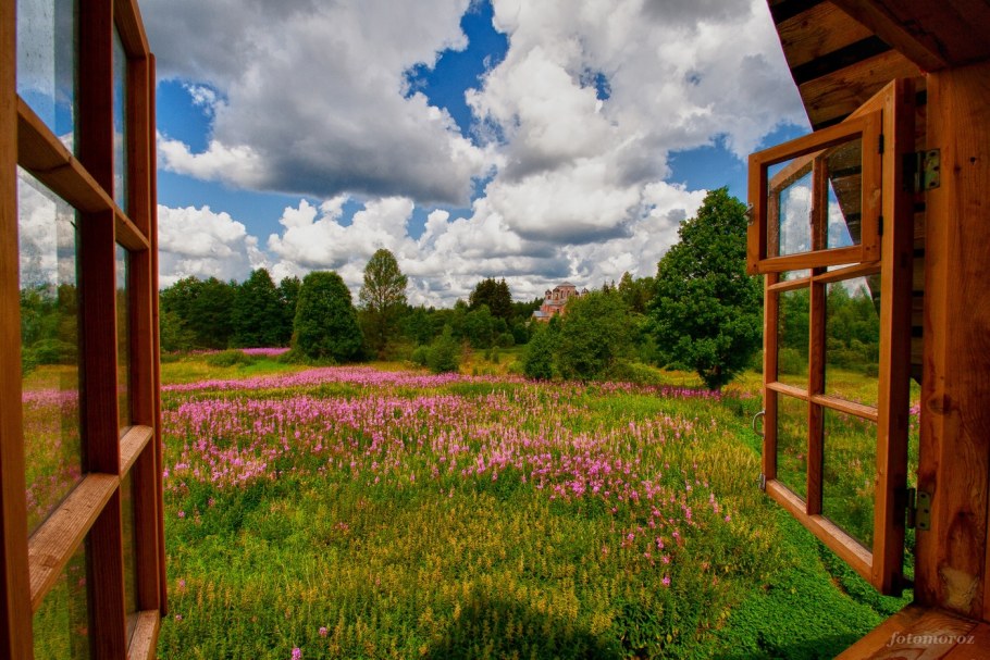 Вид из деревенского окна