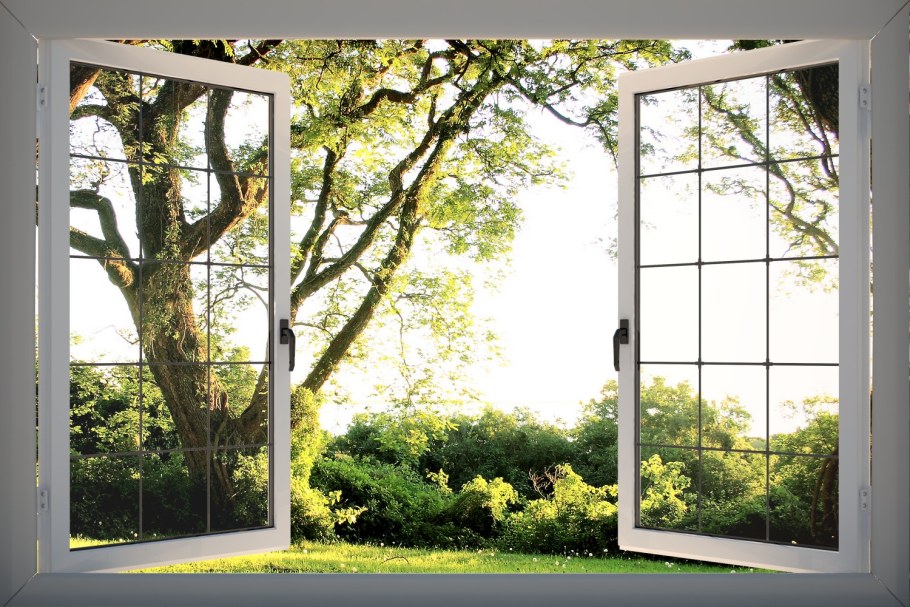 Деревья за окном