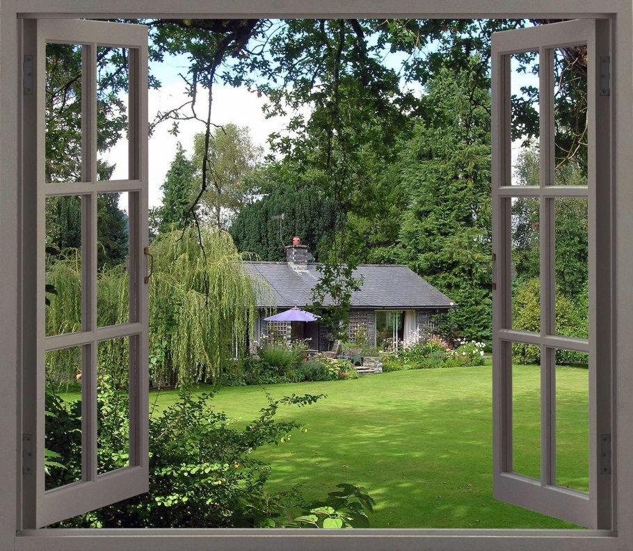 Вид из окна