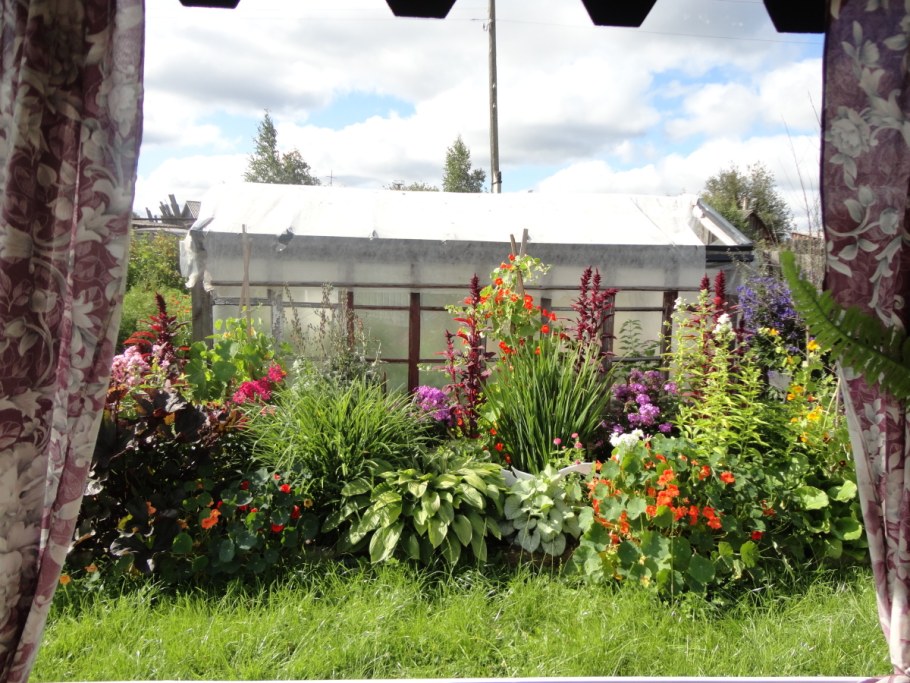 Огород на окне