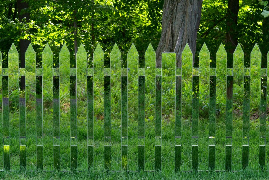 Живая изгородь на дачном участке