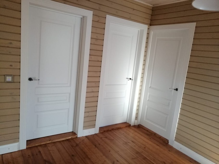 Двери Альберо Эрмитаж 2 белый винил