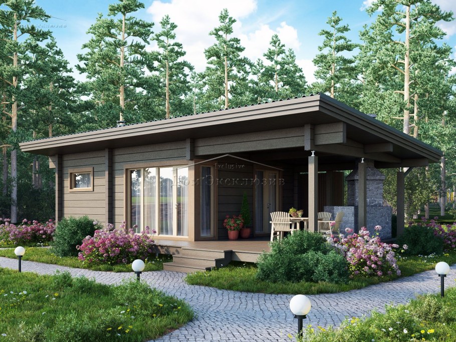 Тини Хаус с односкатной крышей