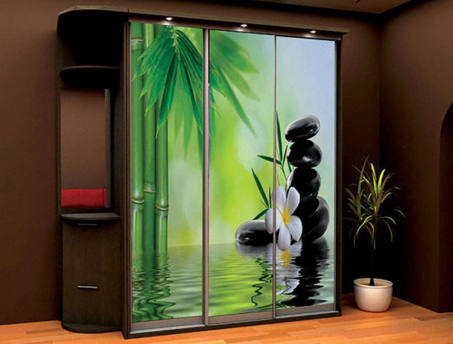 Фотопечать на двери шкафа купе