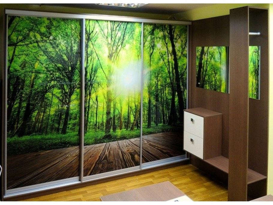 Встроенный шкаф купе с фотопечатью