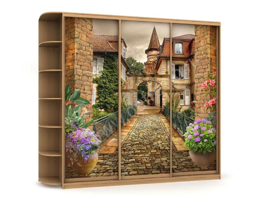 Шкаф купе с фотопечатью