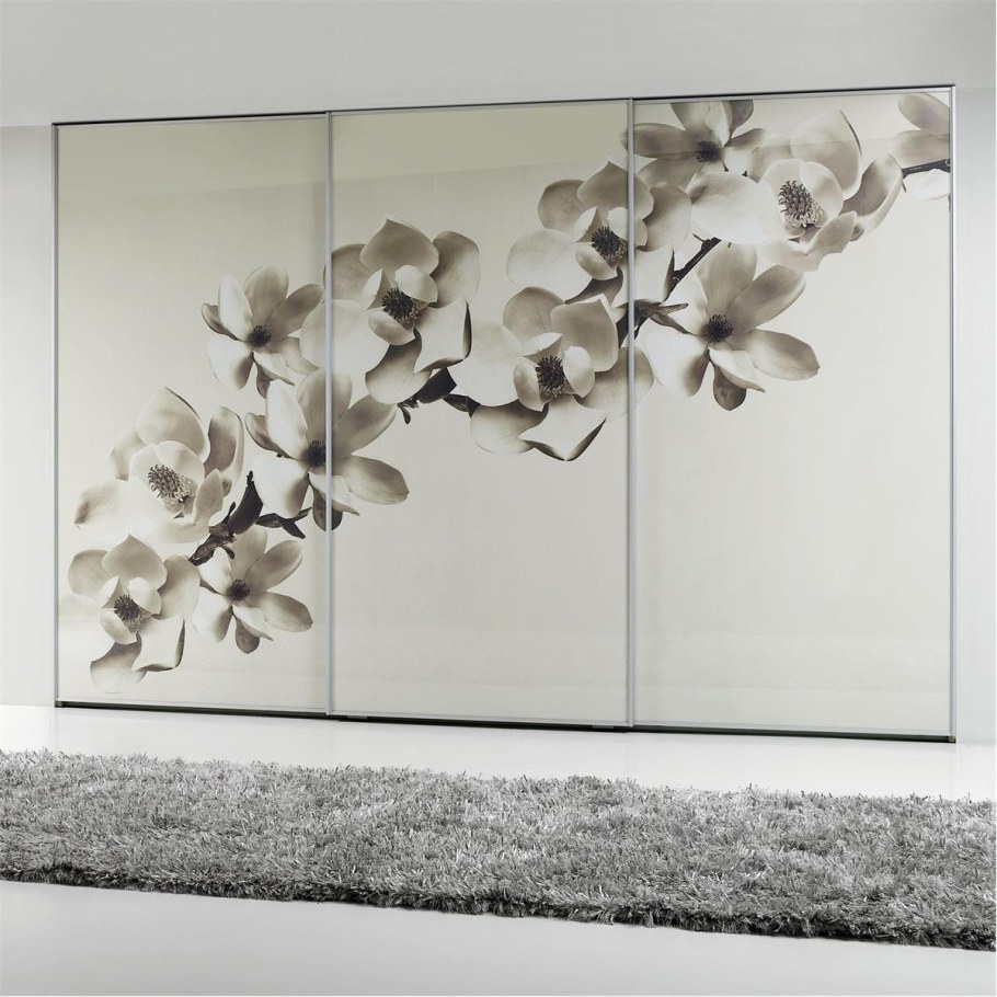 Современные шкафы купе с фотопечатью