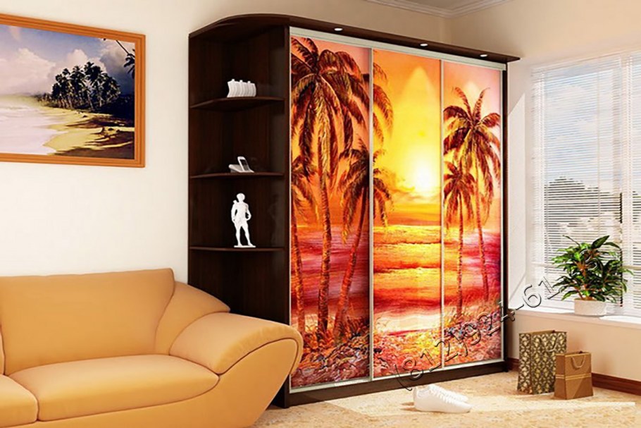 Шкаф купе с фотопечатью пальмы