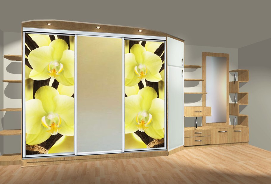 Шкаф купе с фотопечатью