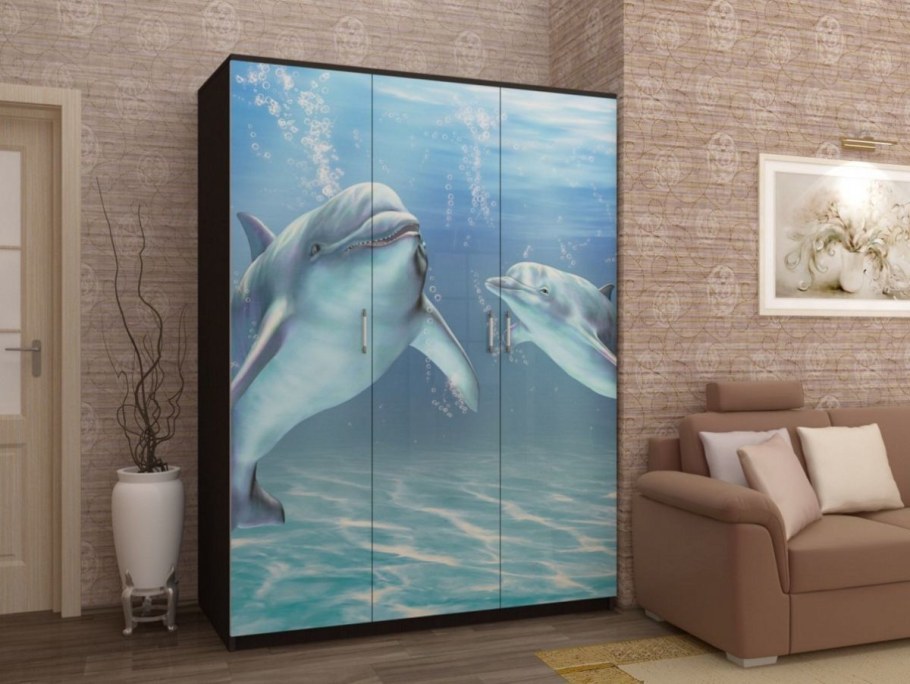 Шкаф купе с фотопечатью