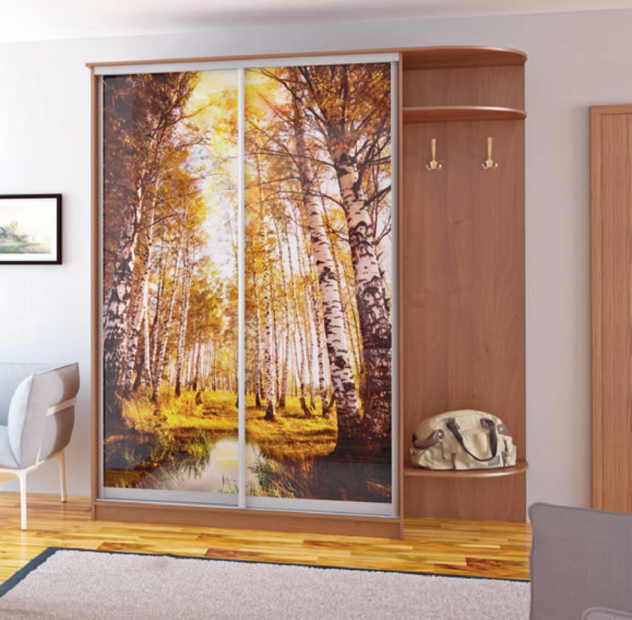Шкаф-купе в прихожую с фотопечатью