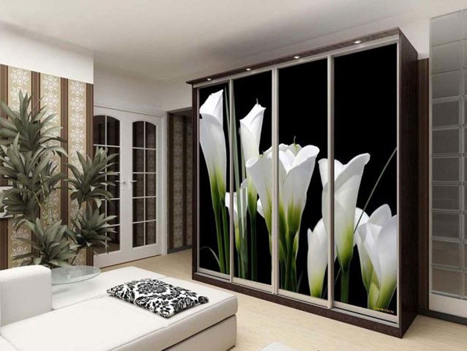 Шкафы-купе с фотопечатью на стекле