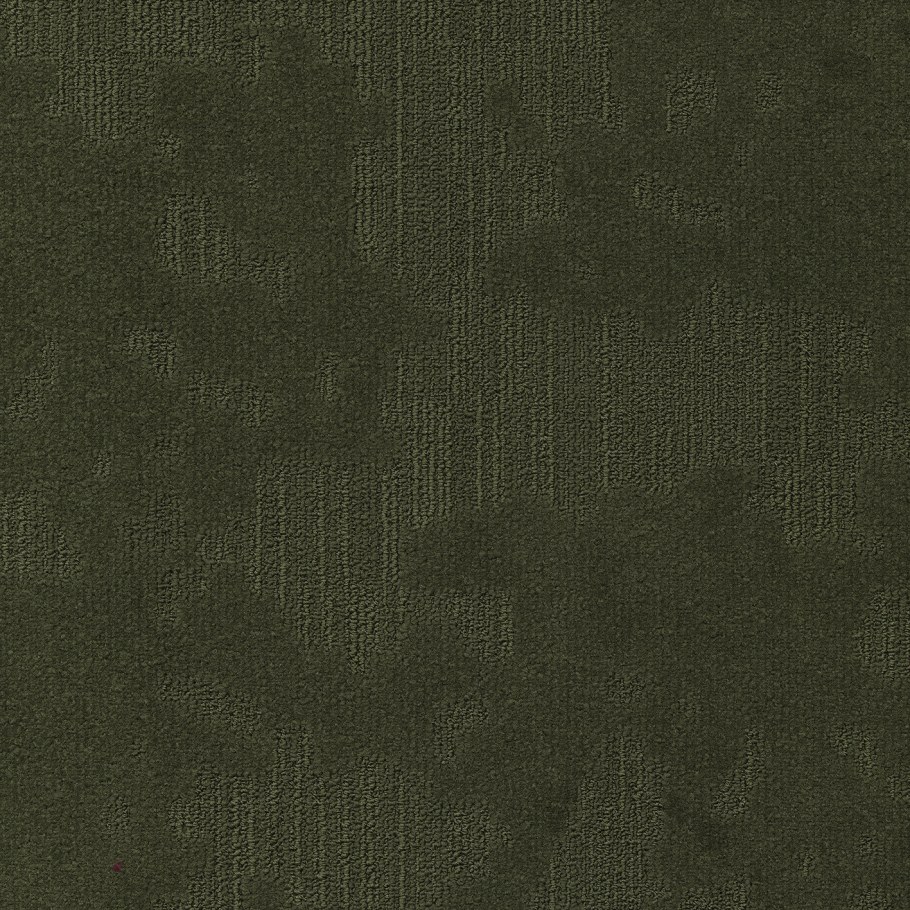 Цвет хаки зеленый