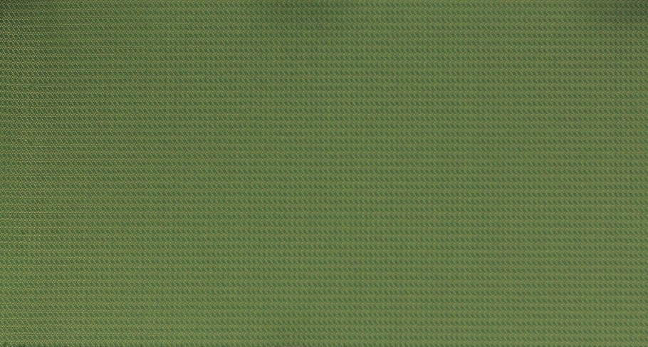 Болотно зеленый цвет