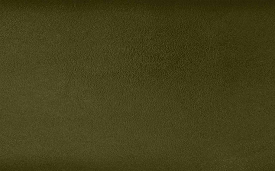 Тёмно-зелёный цвет