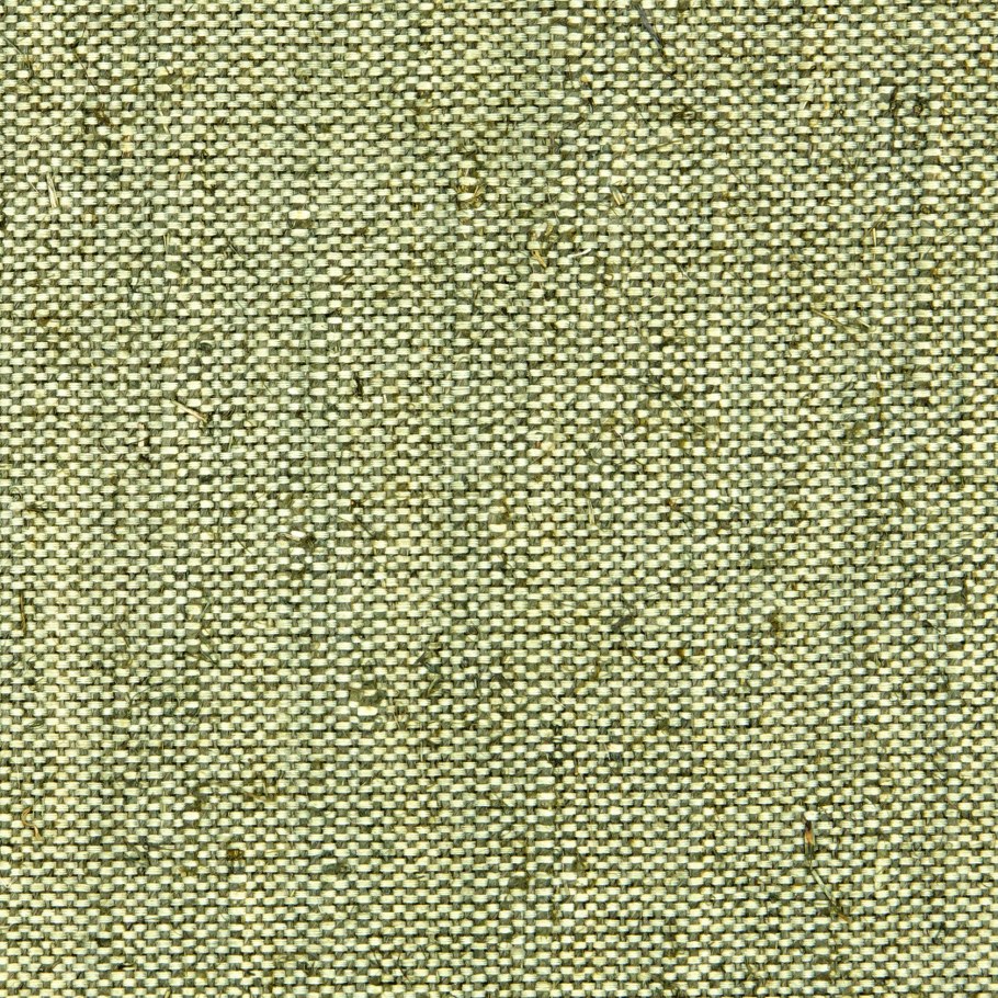 Болотно зеленый цвет