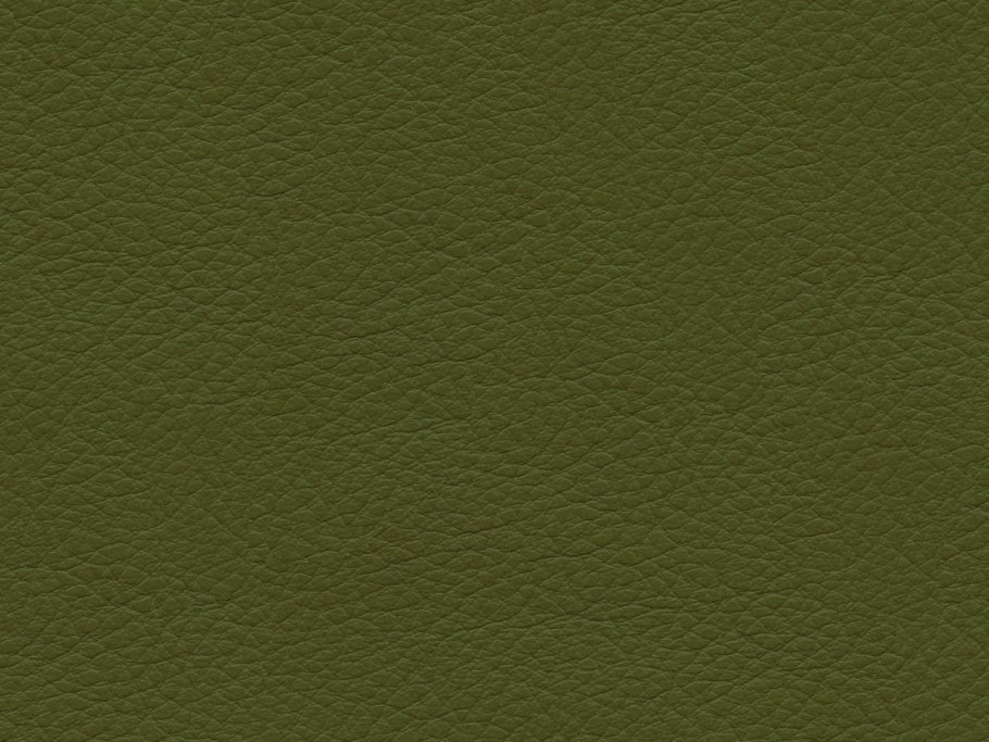 Ткань болотного цвета