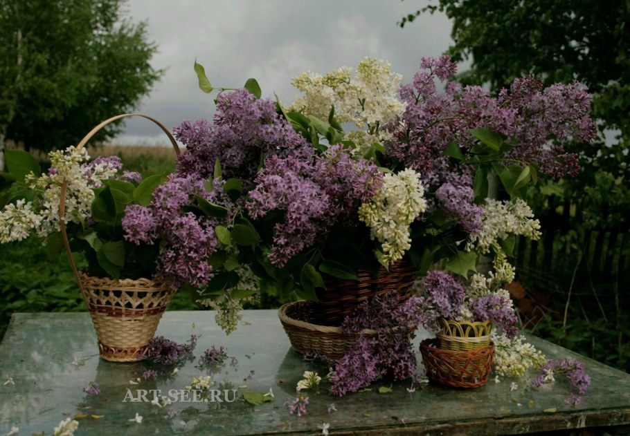 Деревенский домик