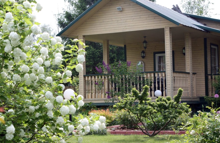 Миксбордер сирень Палибин