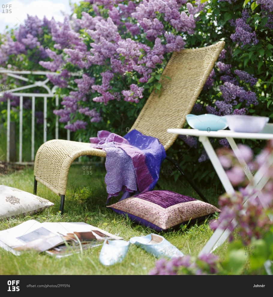 Сирень Стефан Маковецкий