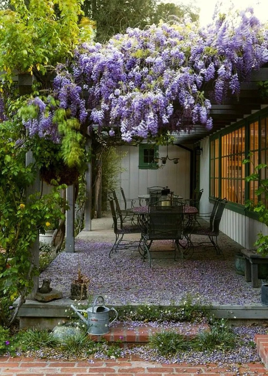 Сирень в палисаднике