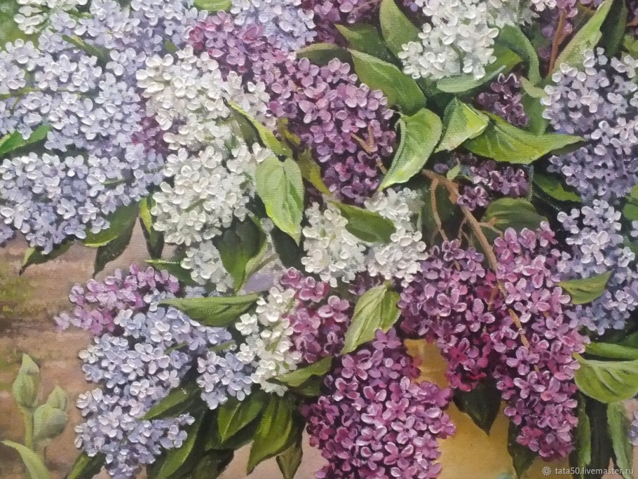 Сирень русский Север