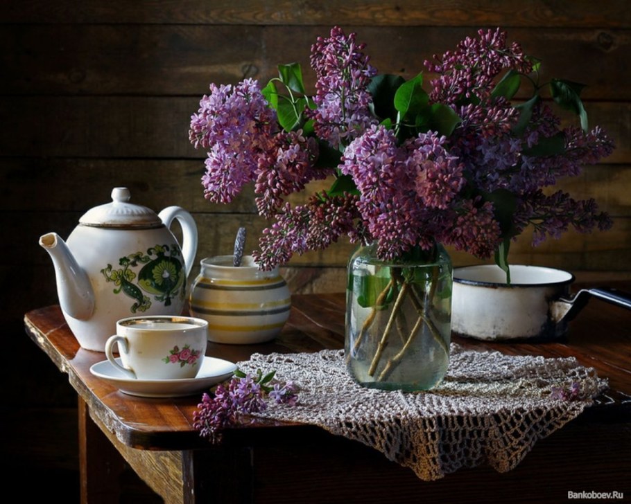 Деревенский домик с сиренью