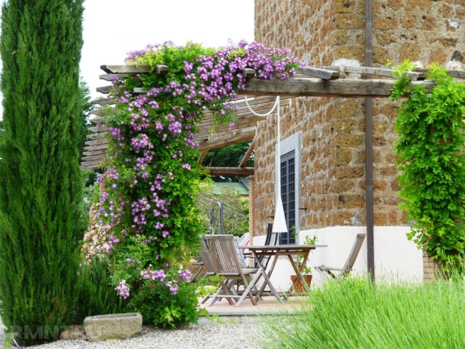 Ипомея Лунноцветущая