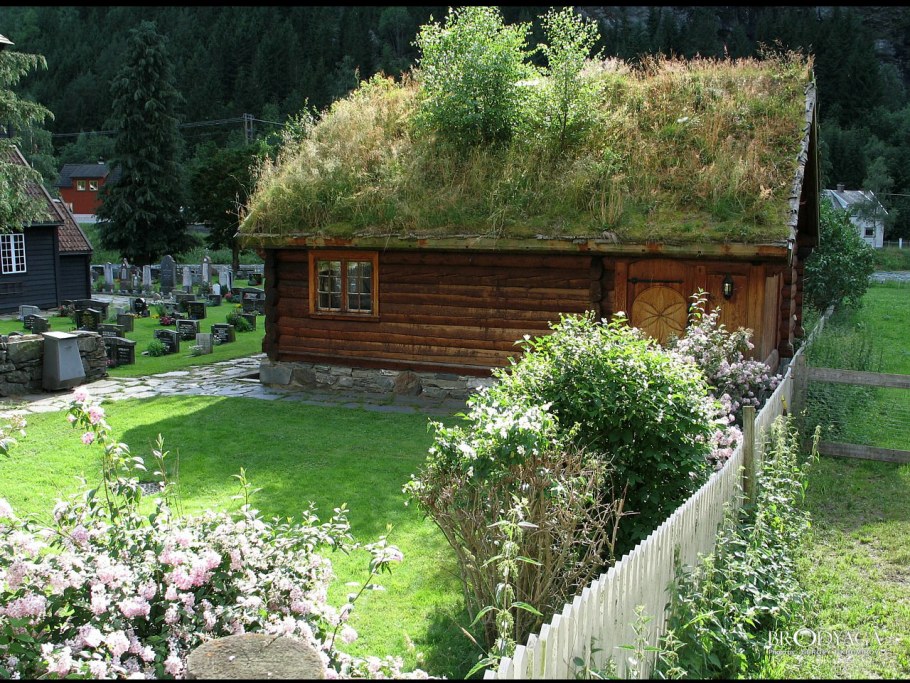 Кровля из дерна