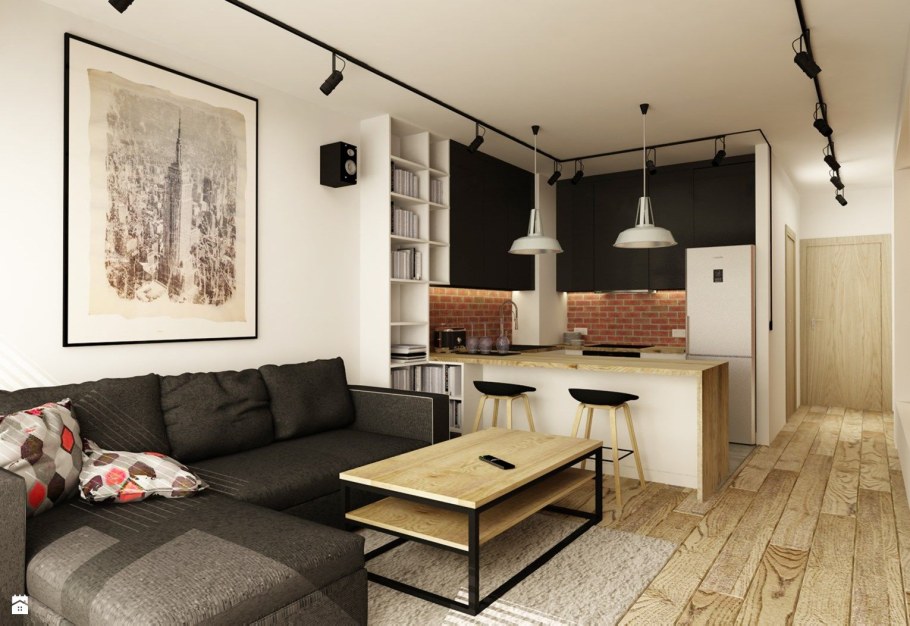 Кухня гостинная 20кв м лофт