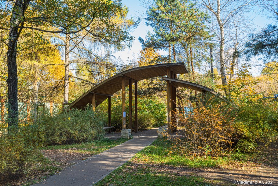 Парк серебряный Бор осенью