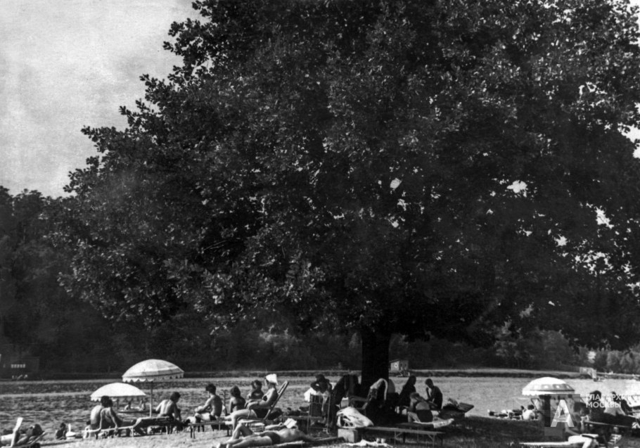 Серебряный Бор 1960 год