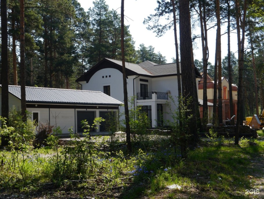 Габай серебряный Бор