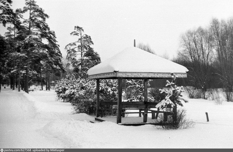 Дом Лемешева серебряный Бор беседка