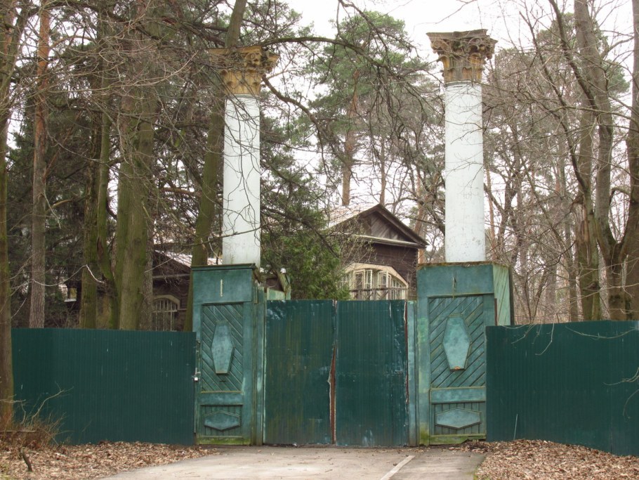 ДНТ вокалист ГАБТ Истринский район