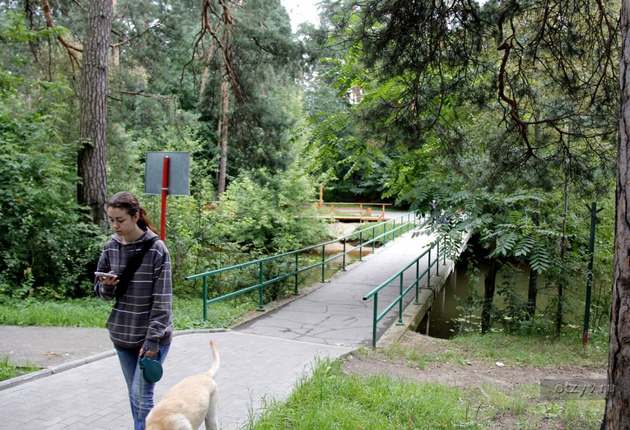 Знаменитости серебряного Бора