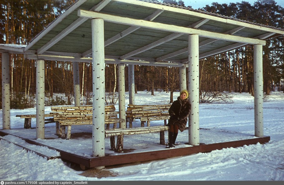 Дом Трутнева в Серебряном Бору