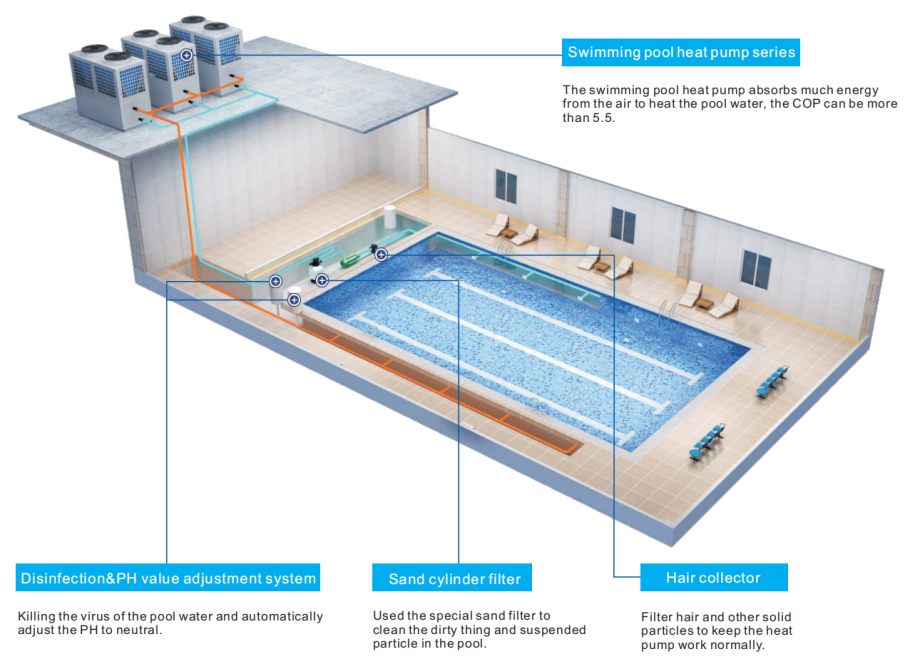 Бассейн в парке Сосновый Бор Новосибирск