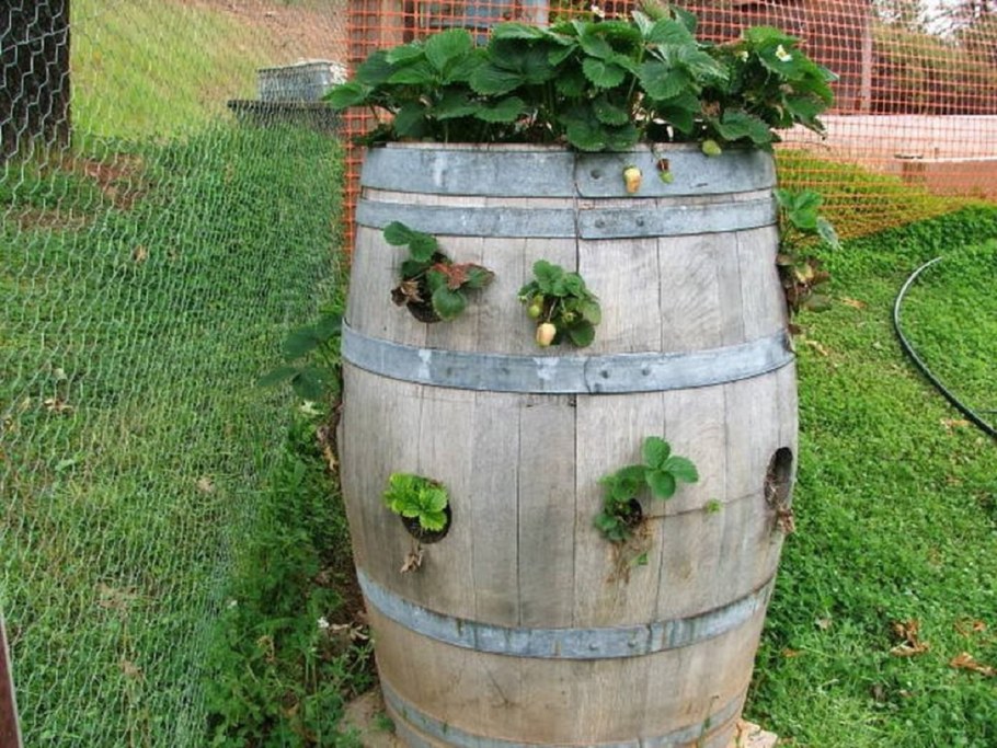 Декор из винных бочек