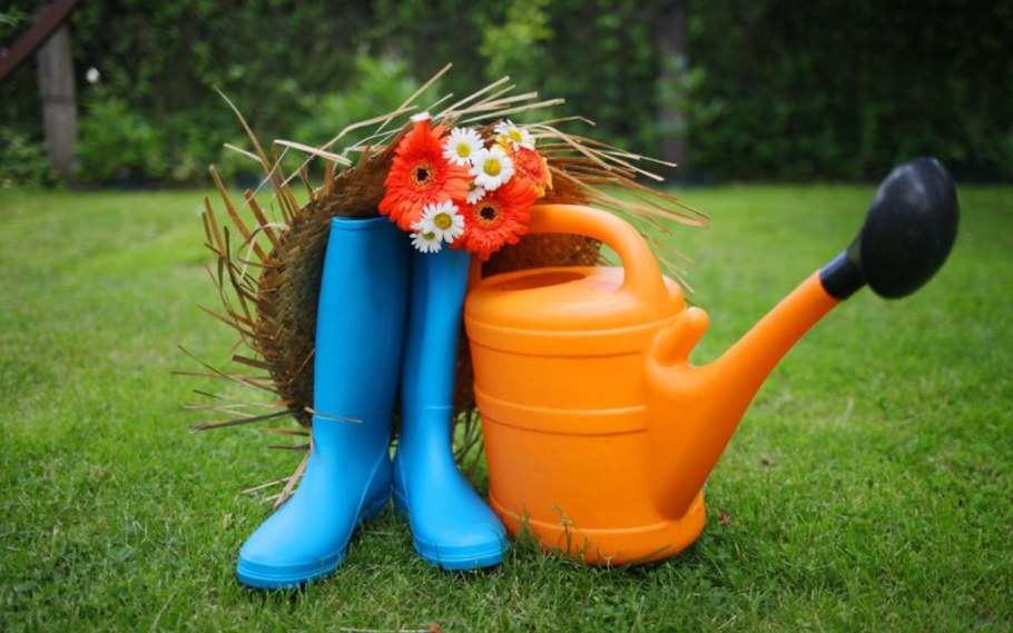 Приколы про дачу