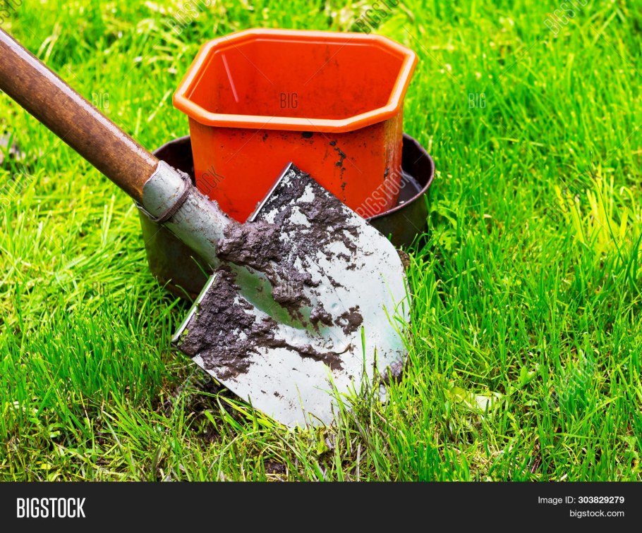 Дача. Урожай