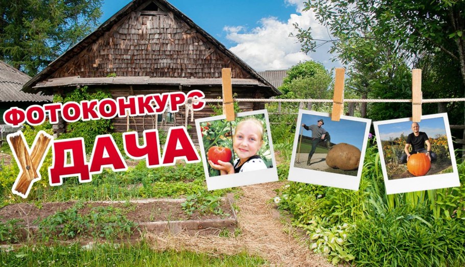Фотоконкурс моя дача