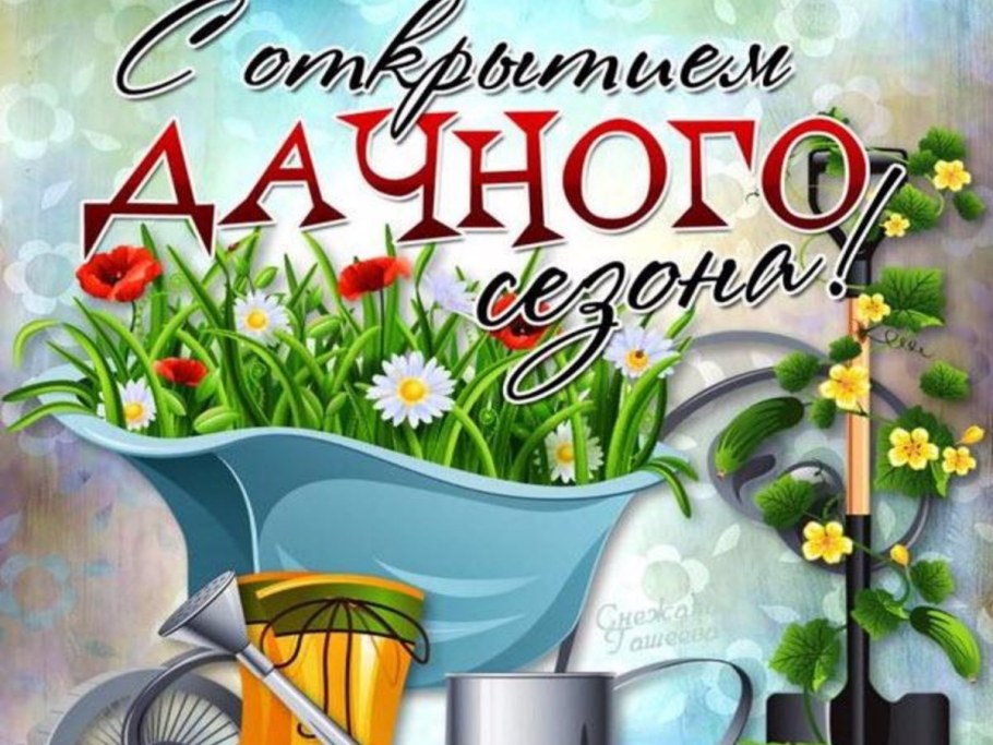 С началом дачного сезона