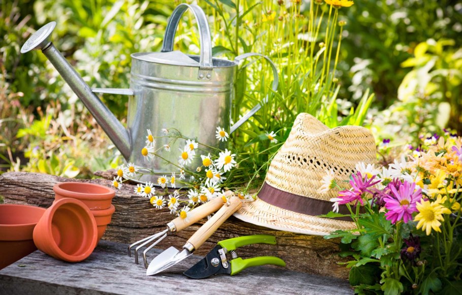 Садовый инвентарь