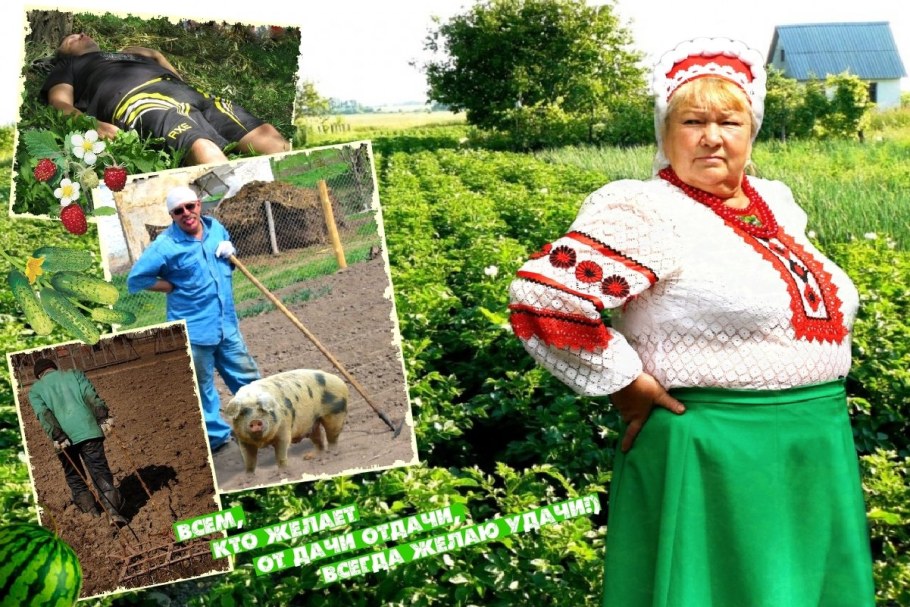 Лето огород