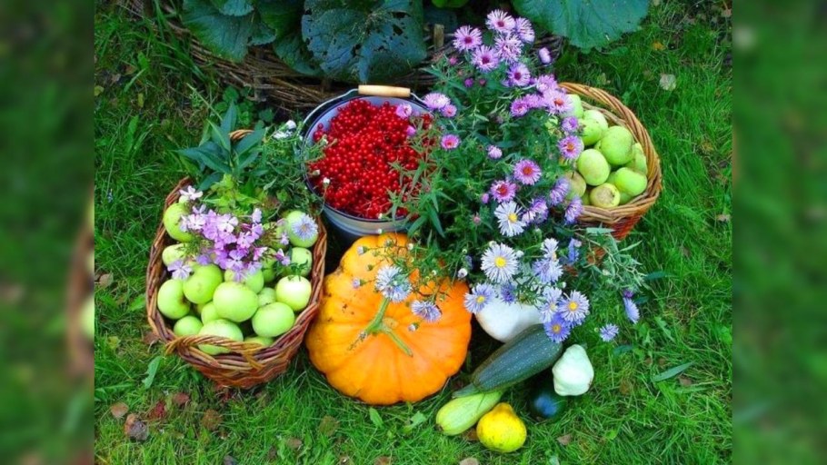 Открытка садоводу огороднику