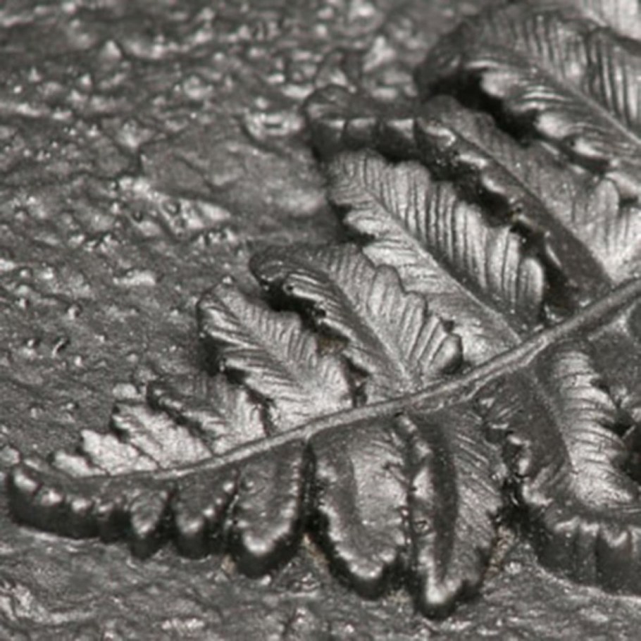 Патина Церта пласт