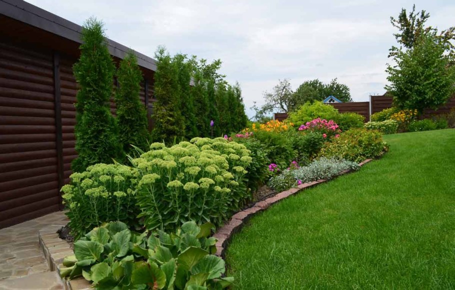 Хвойный рокарий миксбордер