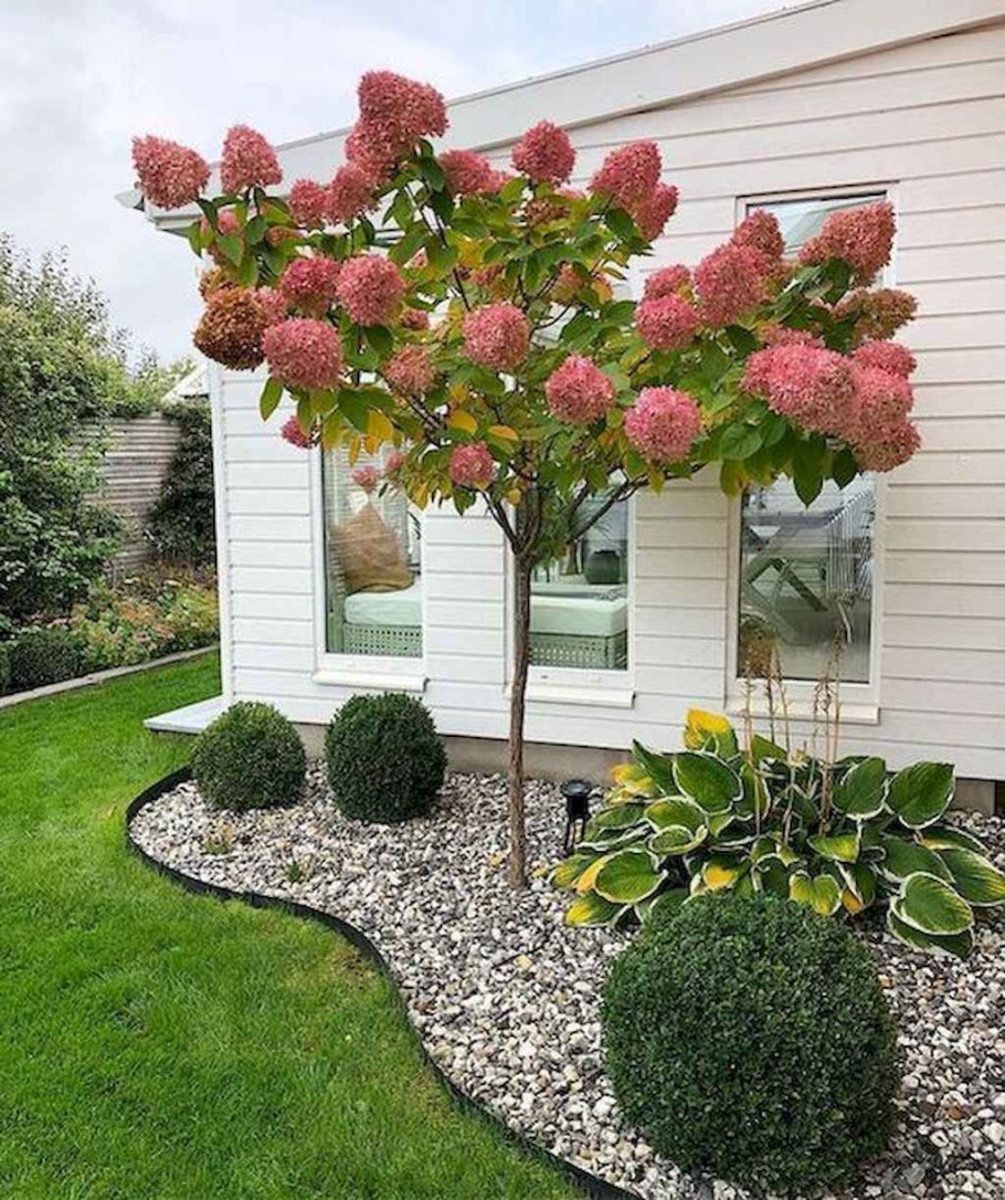 Рабатка вдоль забора